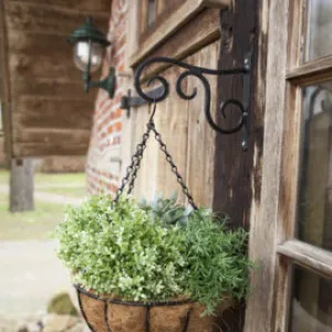 12"  Metal Hanging Basket