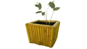 Anemone  Square  Fiber Planter