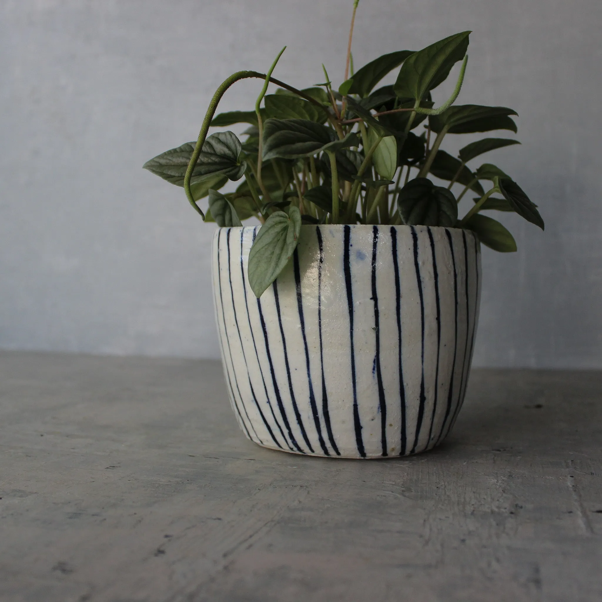 Ceramic Planters : Blue Lines