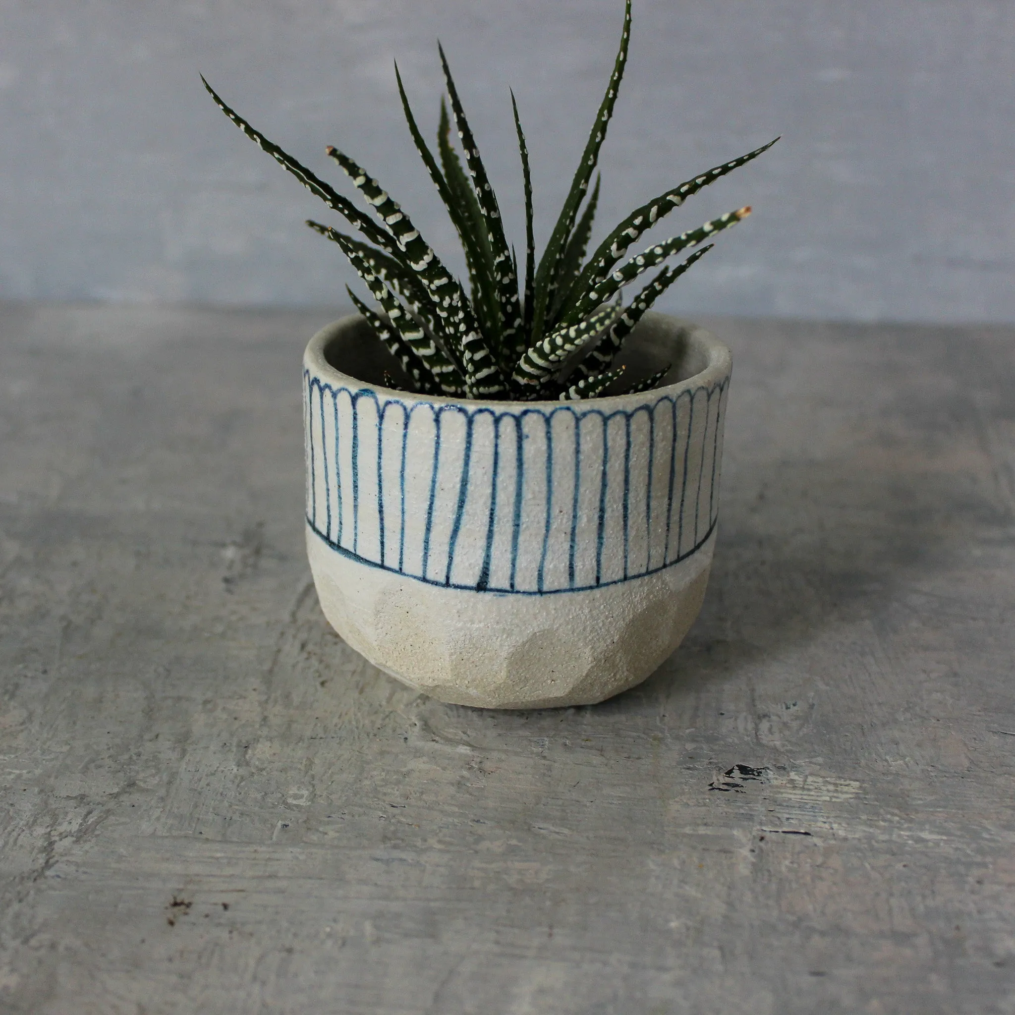 Ceramic Planters : Blue Lines