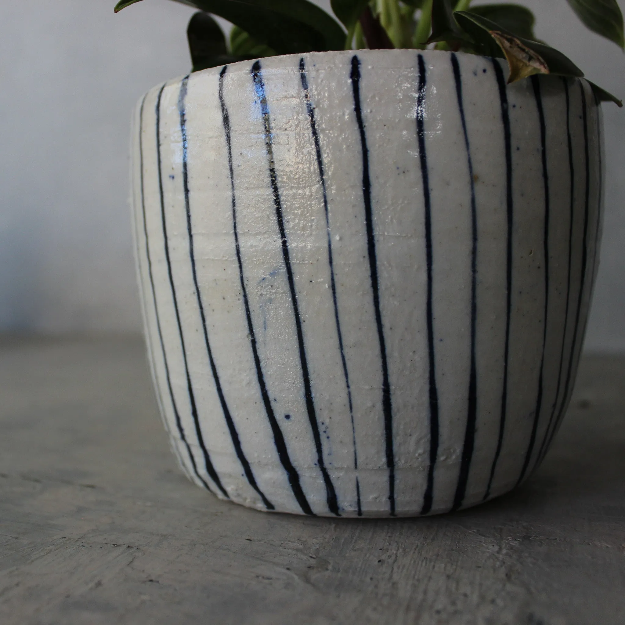 Ceramic Planters : Blue Lines