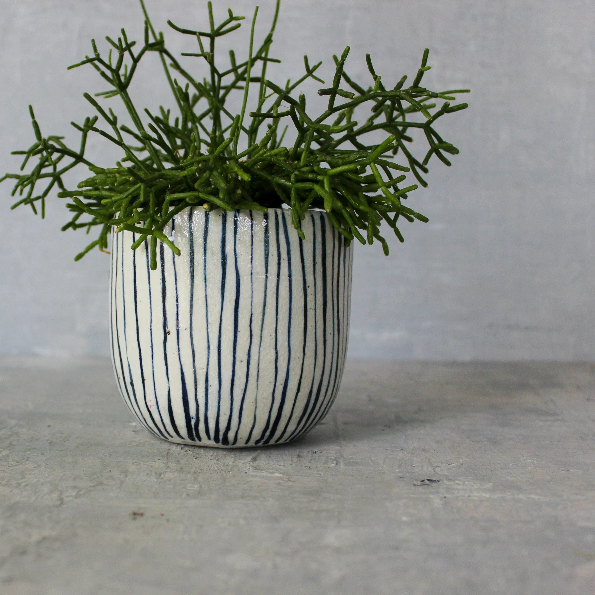 Ceramic Planters : Blue Lines