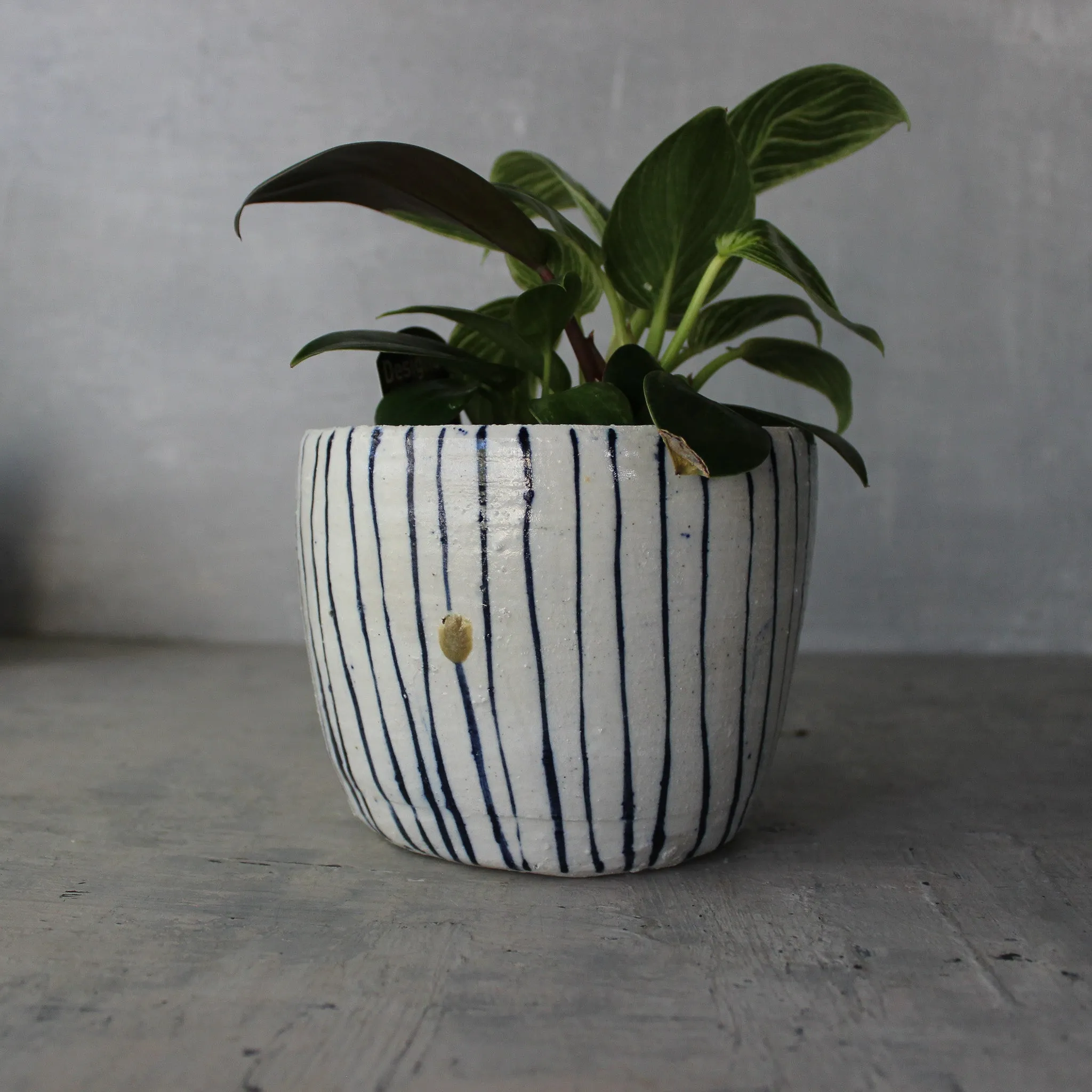 Ceramic Planters : Blue Lines