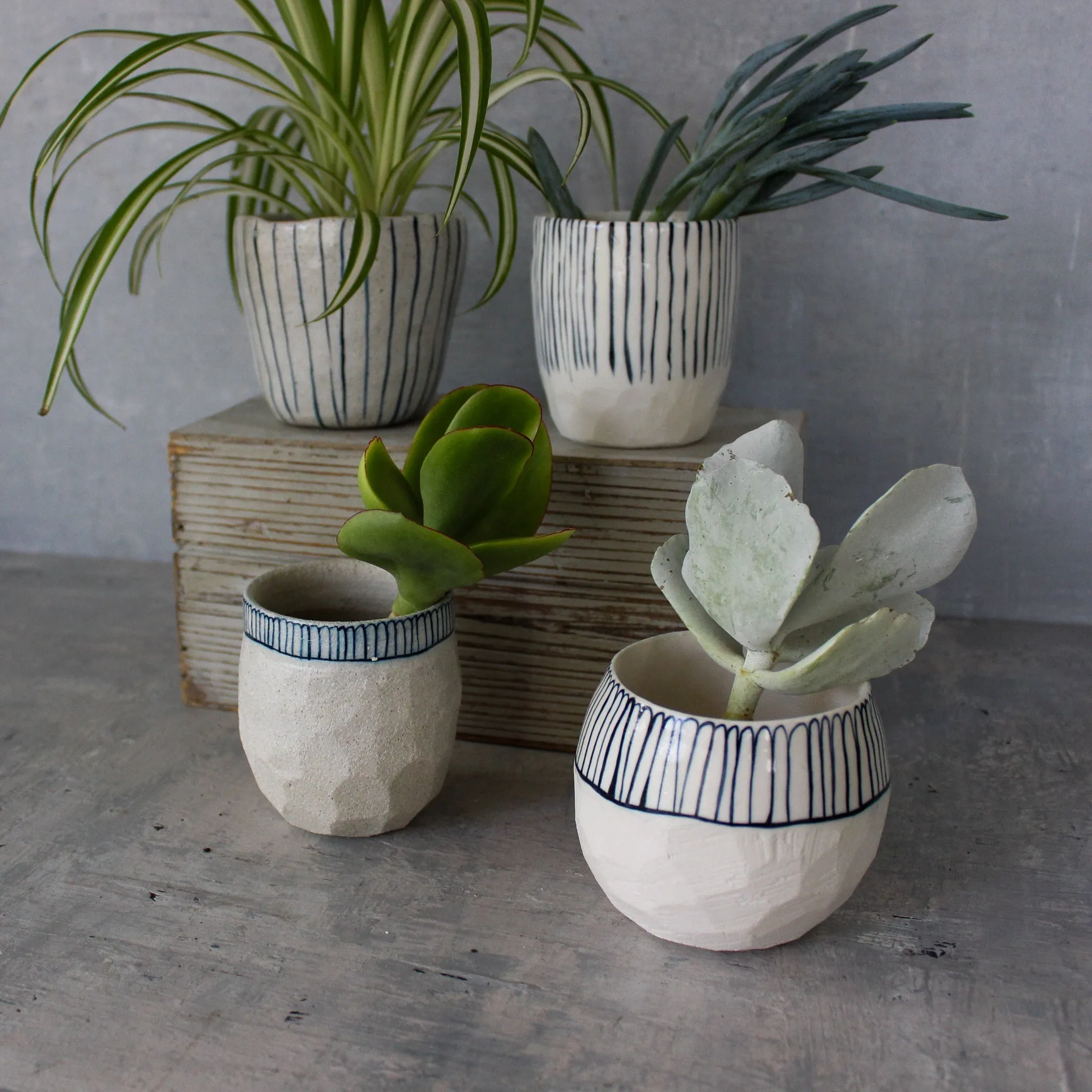Ceramic Planters : Blue Lines