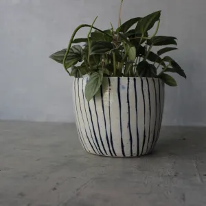 Ceramic Planters : Blue Lines