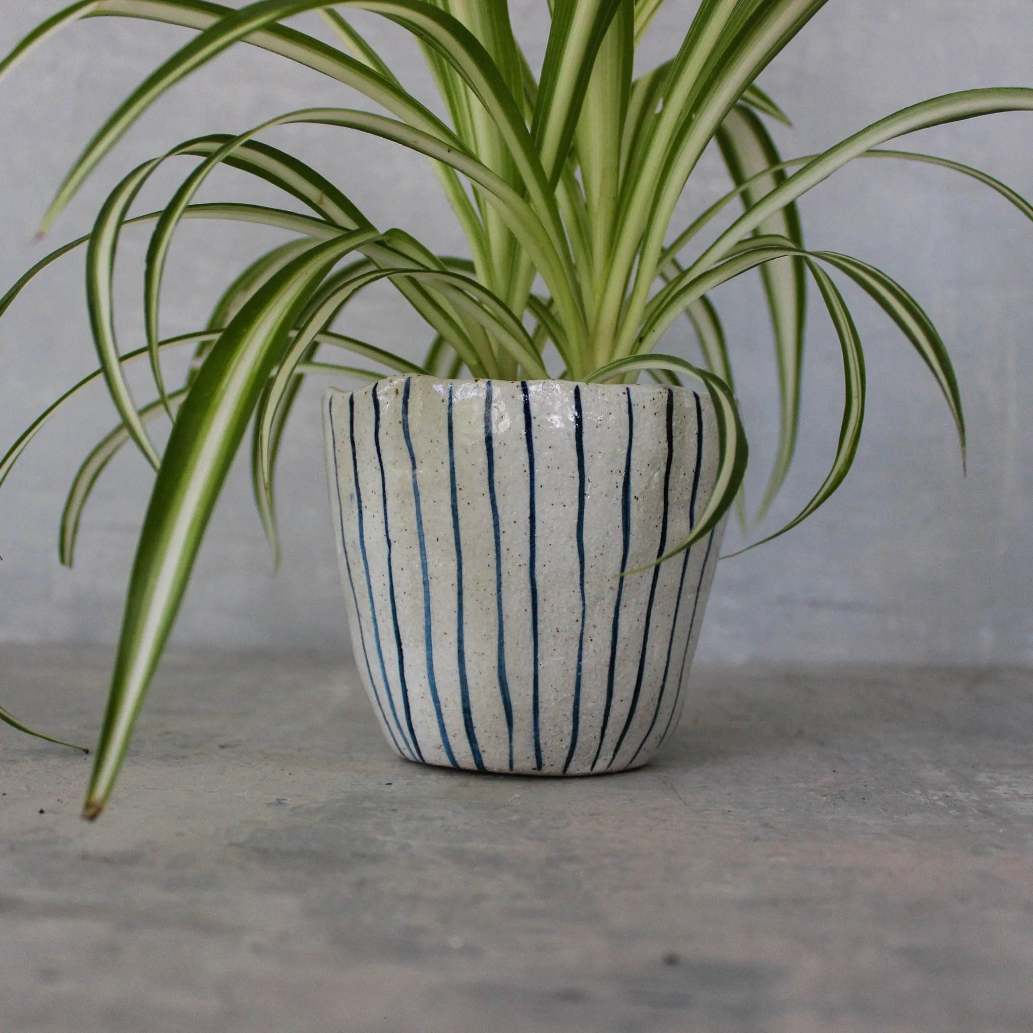 Ceramic Planters : Blue Lines