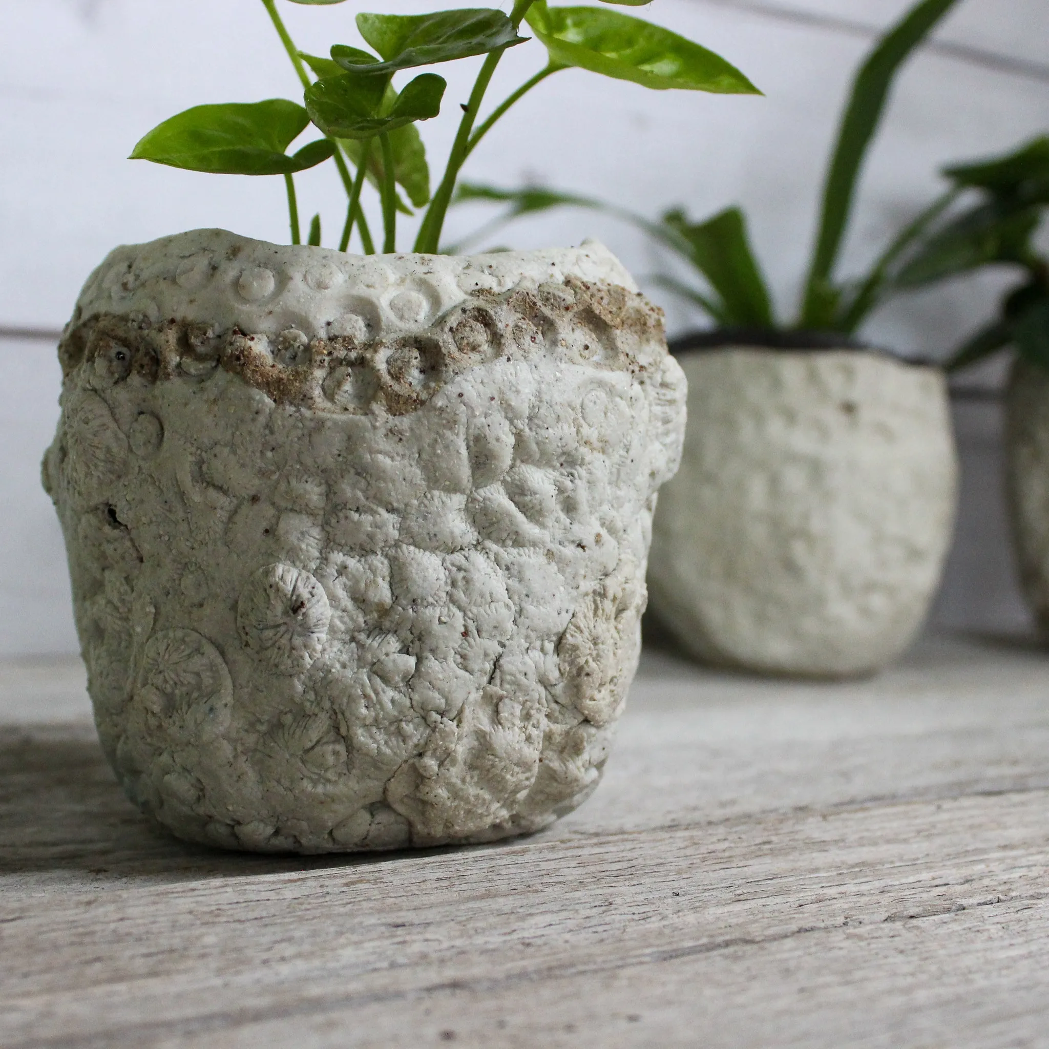 Ceramic Planters Textured