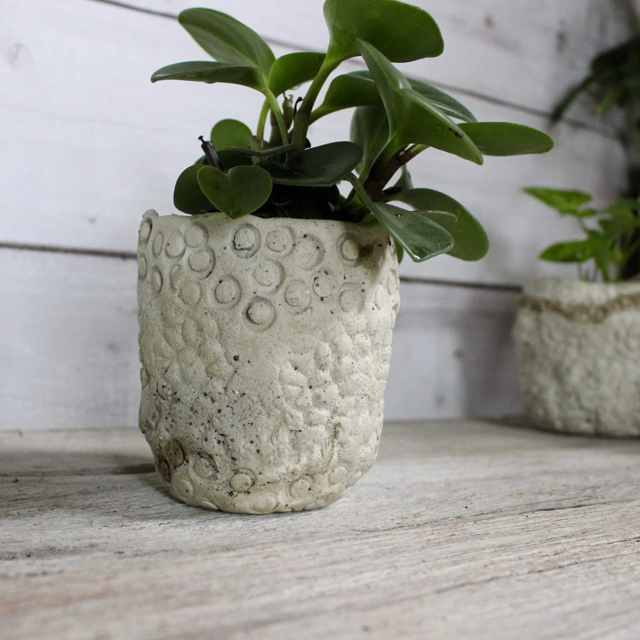 Ceramic Planters Textured