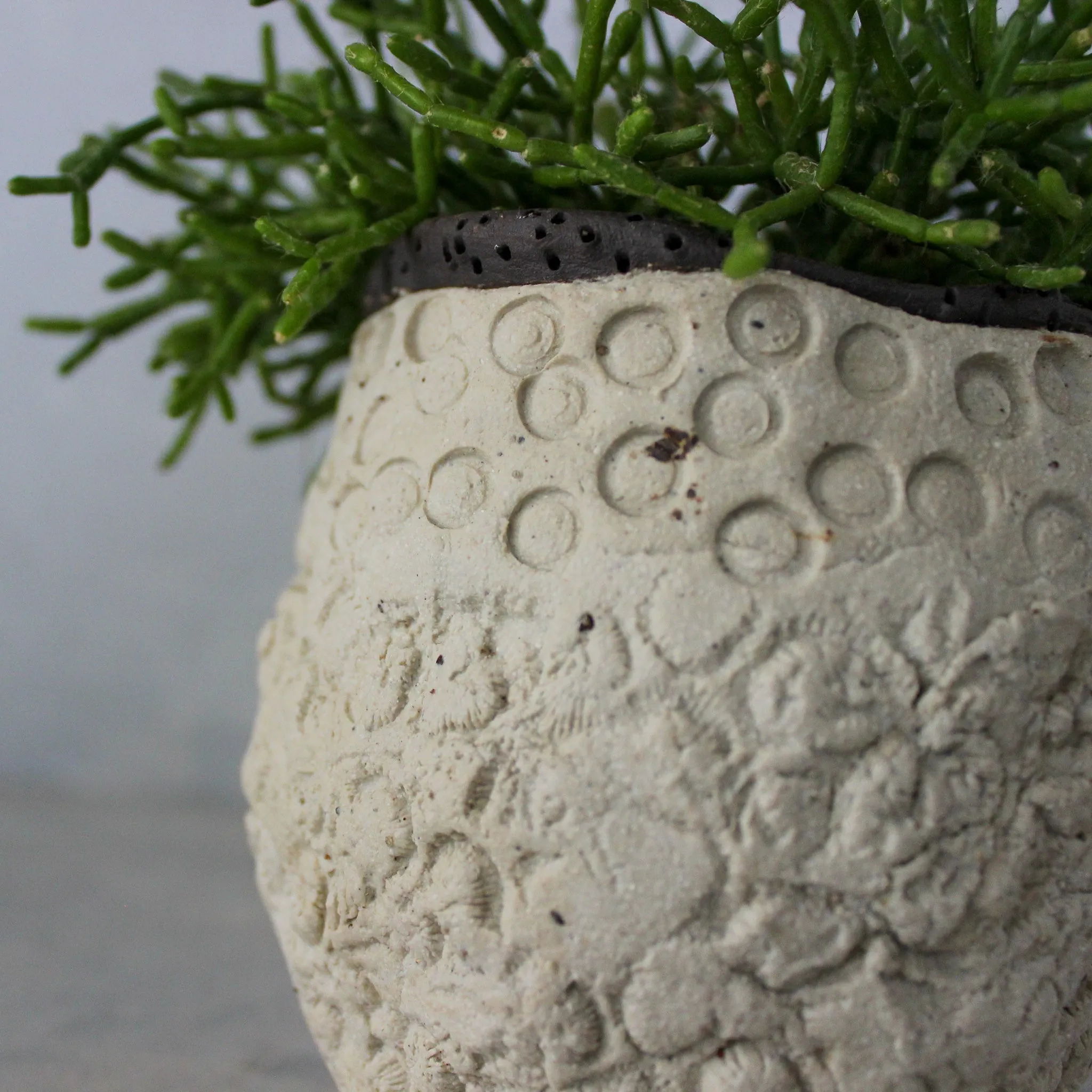 Ceramic Planters Textured