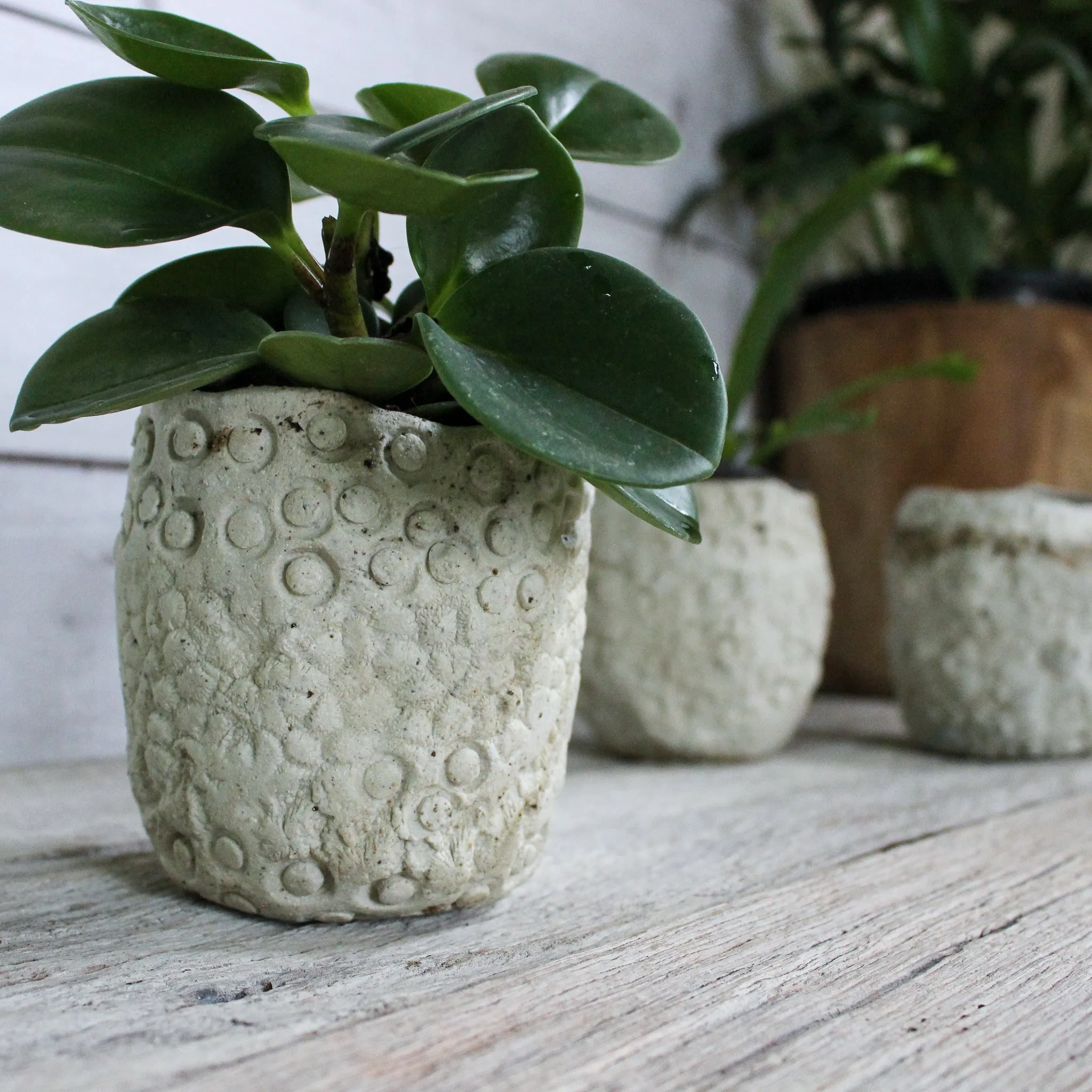 Ceramic Planters Textured