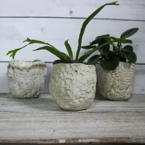 Ceramic Planters Textured