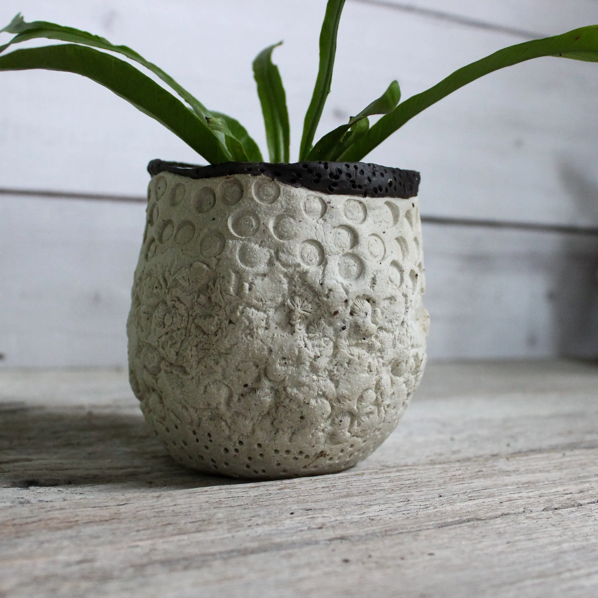 Ceramic Planters Textured