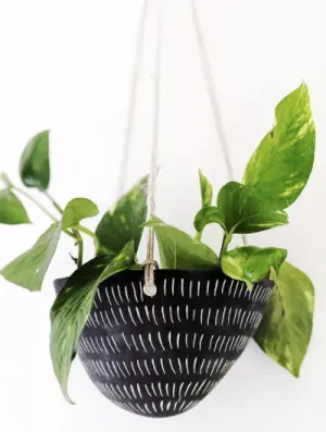 Dash Hanging Planter - Black & White