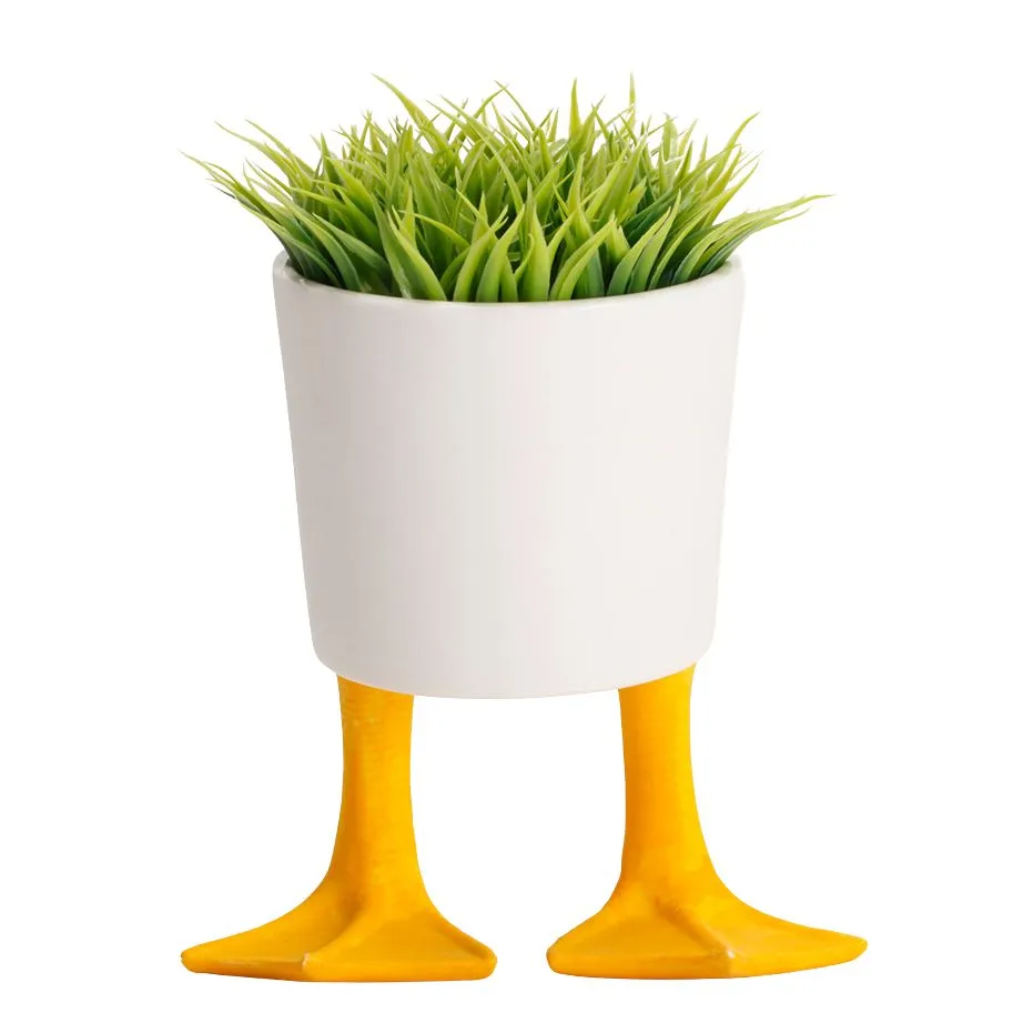 Duck Feet Planter