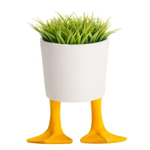 Duck Feet Planter