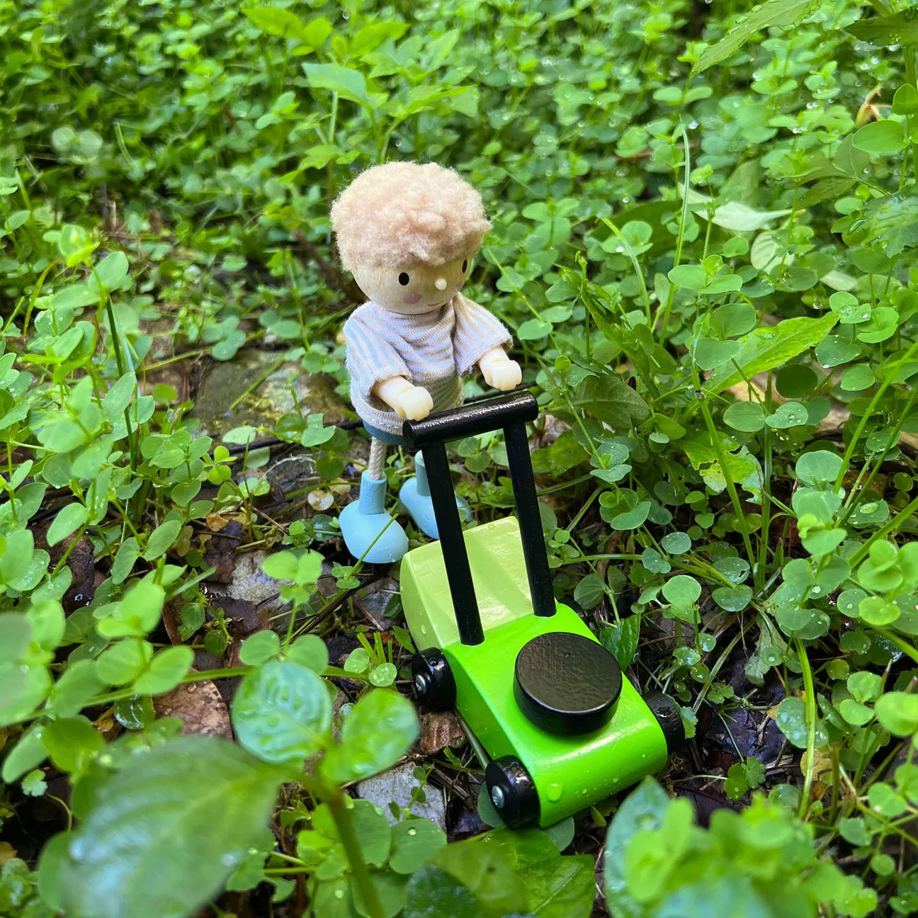 Greenhouse and Garden Set by Tender Leaf Toys