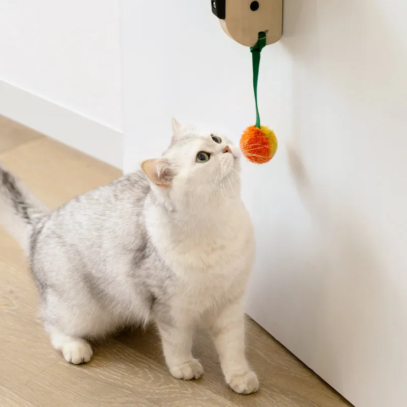 Hanging Cat Climbing Frame Behind The Door