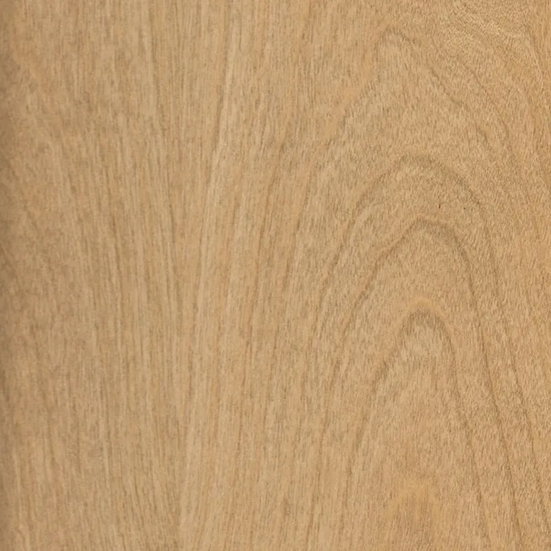 Howard 2-Door Cabinet