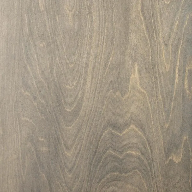 Howard 2-Door Cabinet
