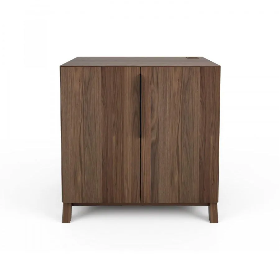 Howard 2-Door Cabinet