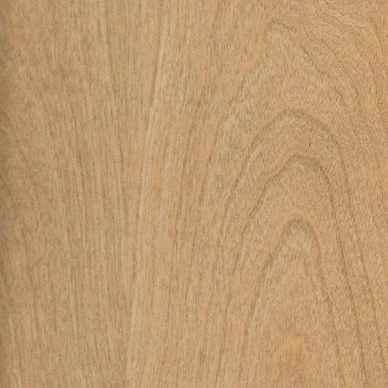 Howard 2-Door Cabinet
