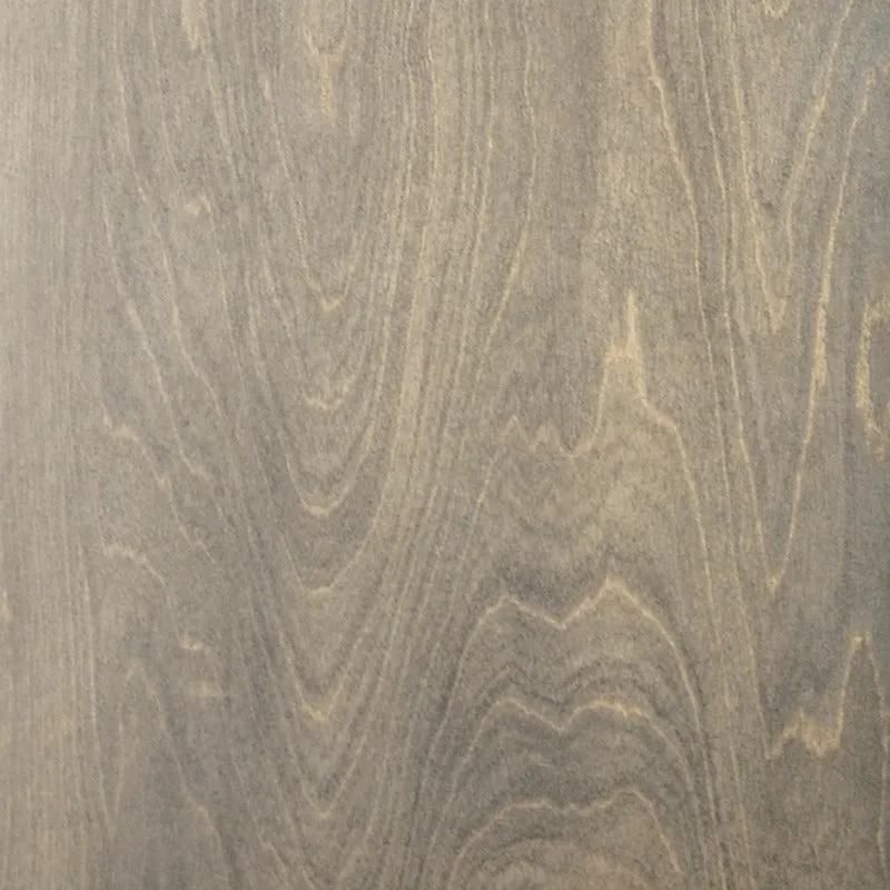 Howard 2-Door Cabinet