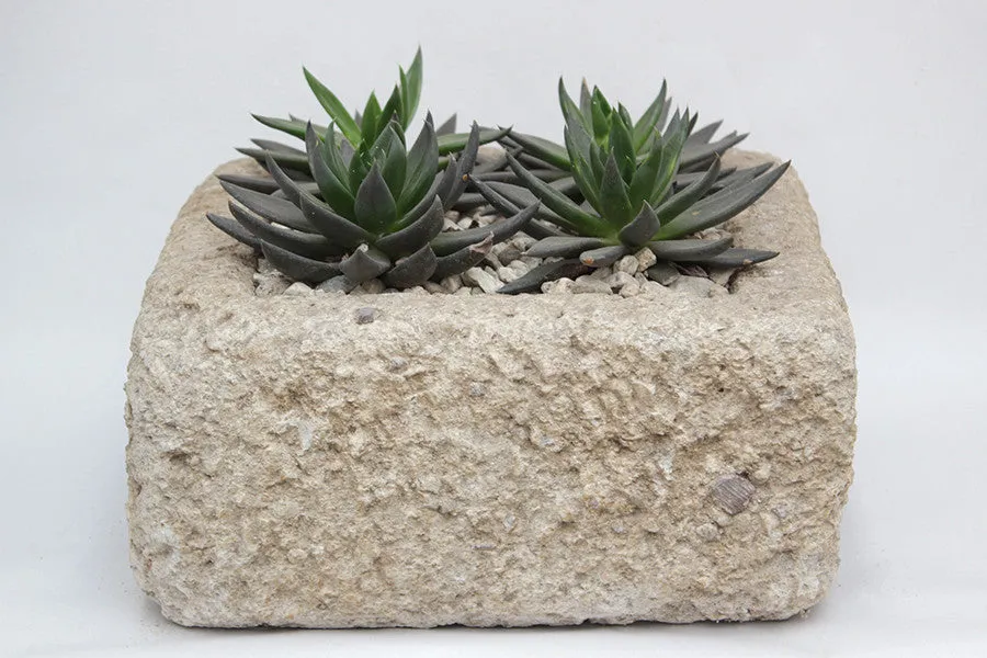 Limestone Square Planters
