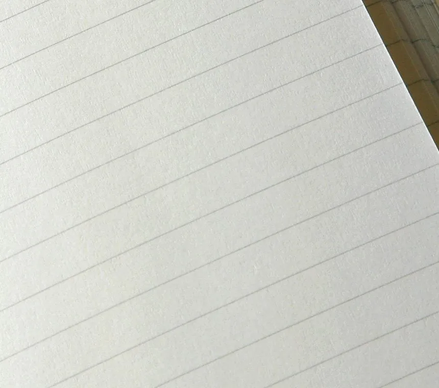 Moleskine Classic Ruled Notebook - Black