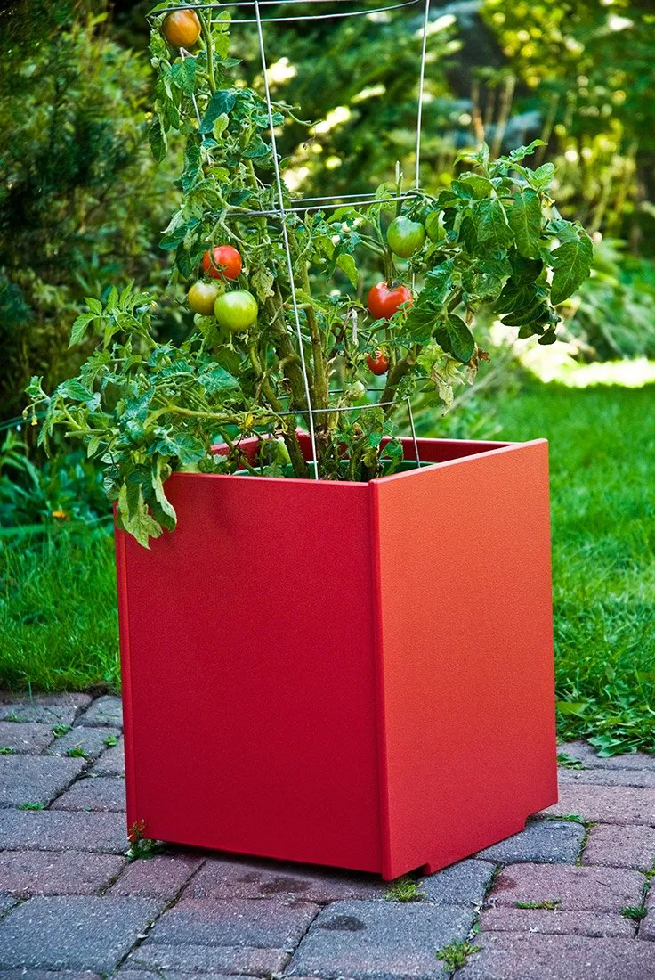 Mondo Single Planter (14 Gallon)