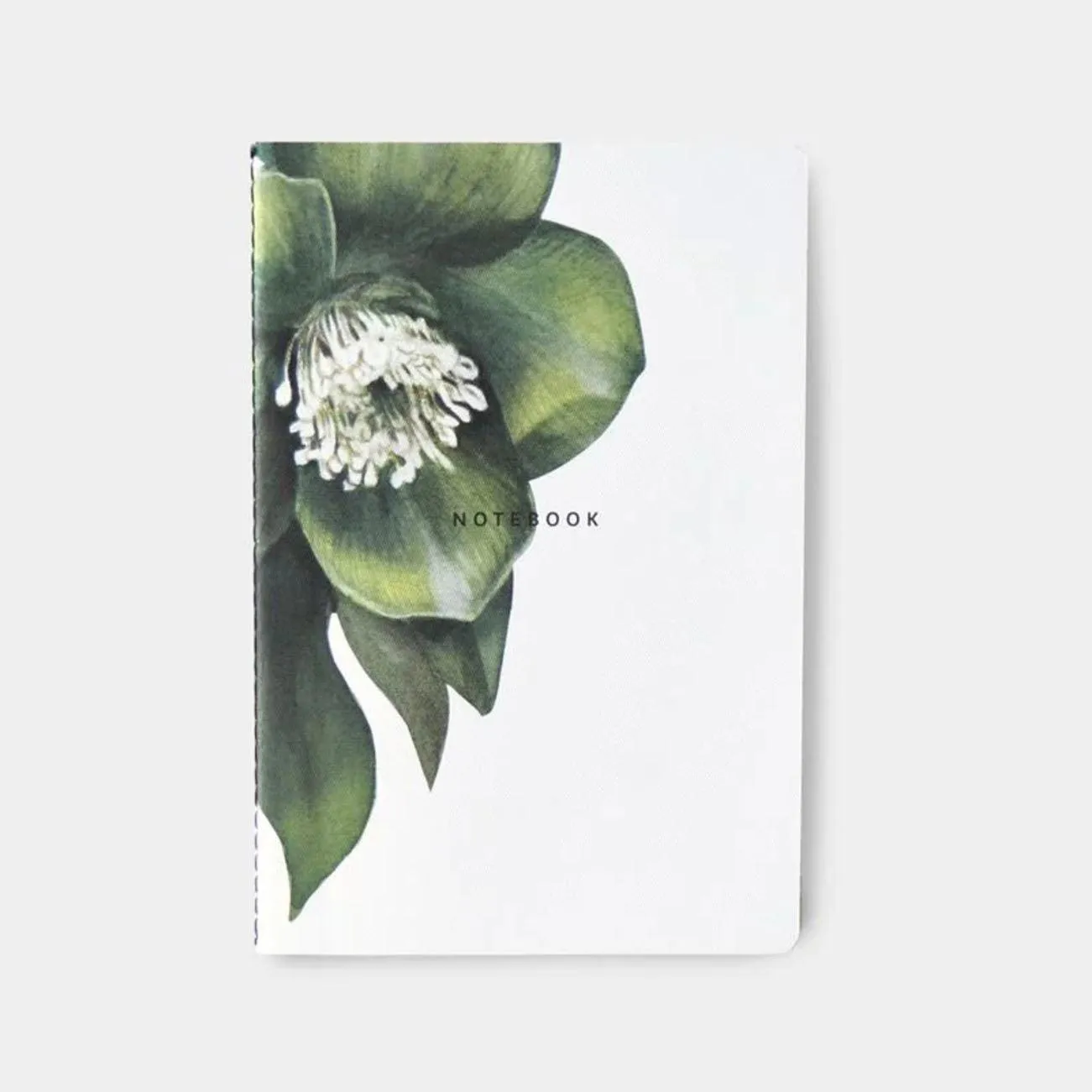 Notebook | Hellebore