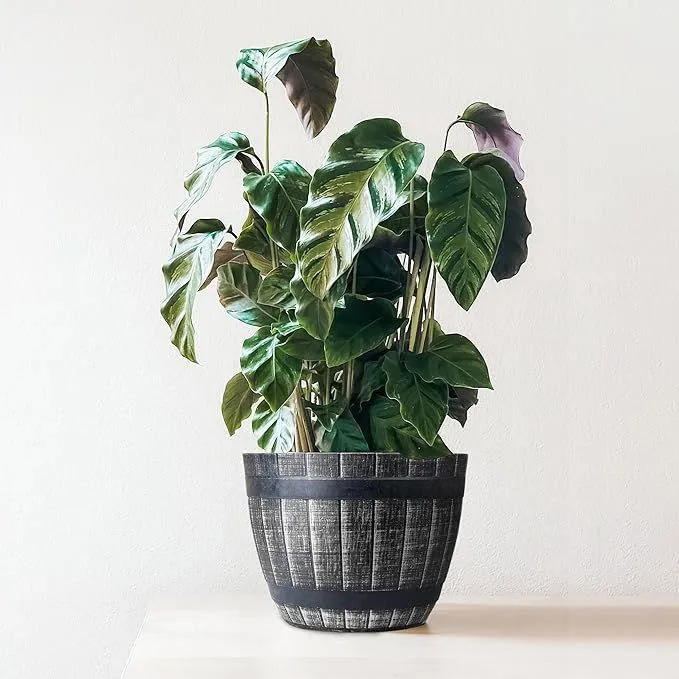 SG Traders Large Round Plastic Barrel Tub Planter