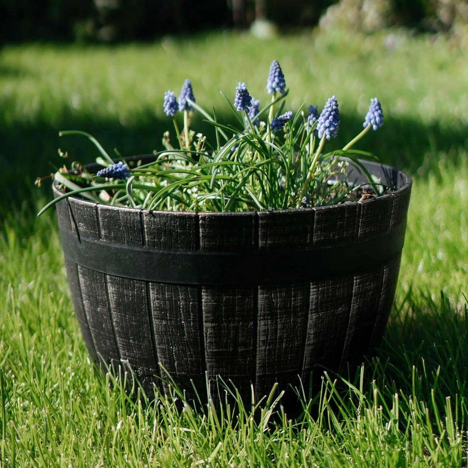 SG Traders Large Round Plastic Barrel Tub Planter