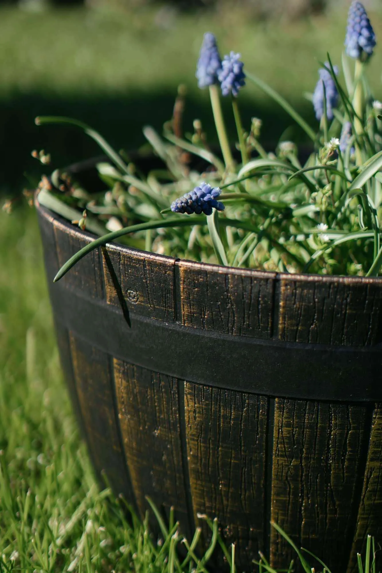 SG Traders Large Round Plastic Barrel Tub Planter