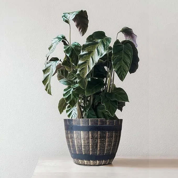 SG Traders Large Round Plastic Barrel Tub Planter