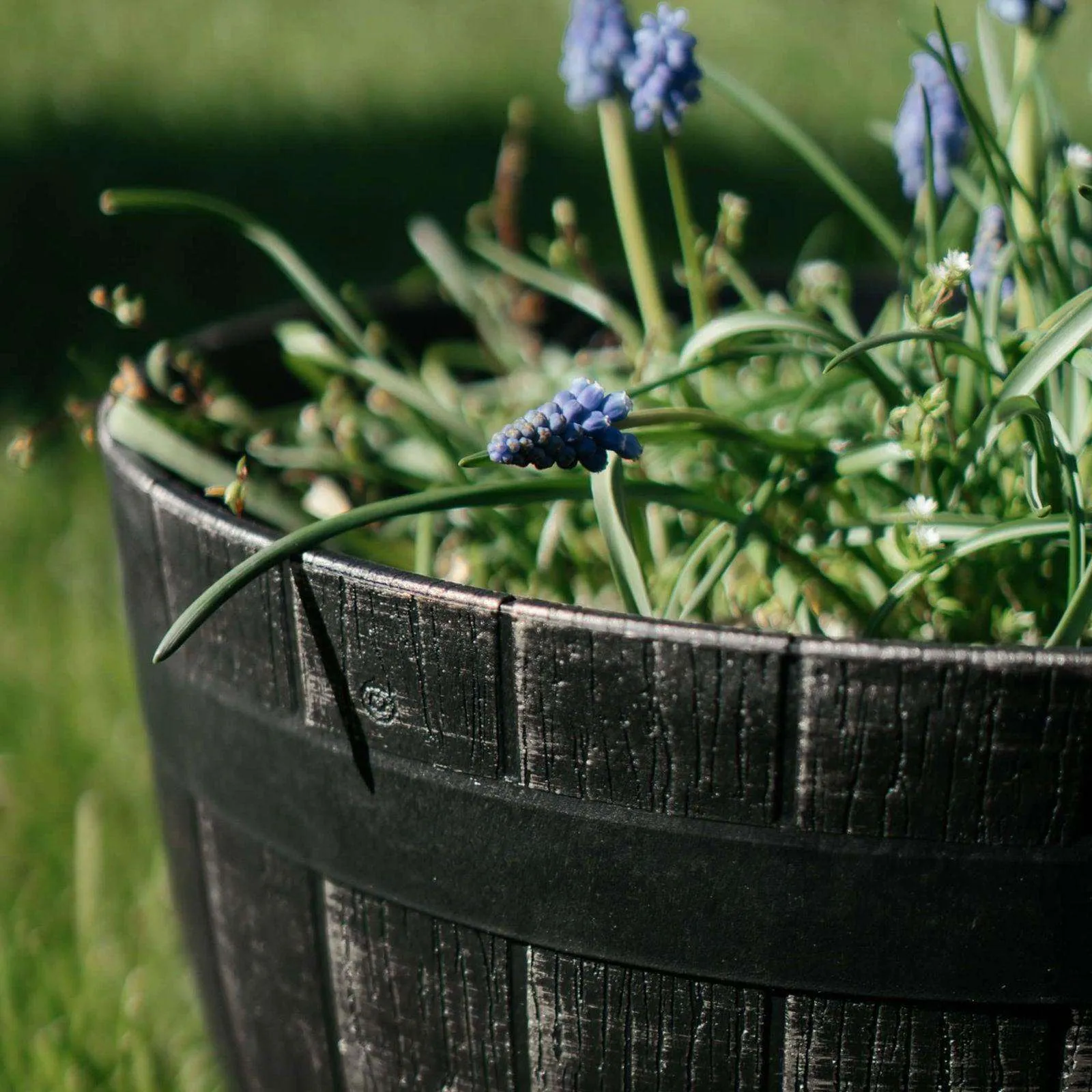 SG Traders Large Round Plastic Barrel Tub Planter
