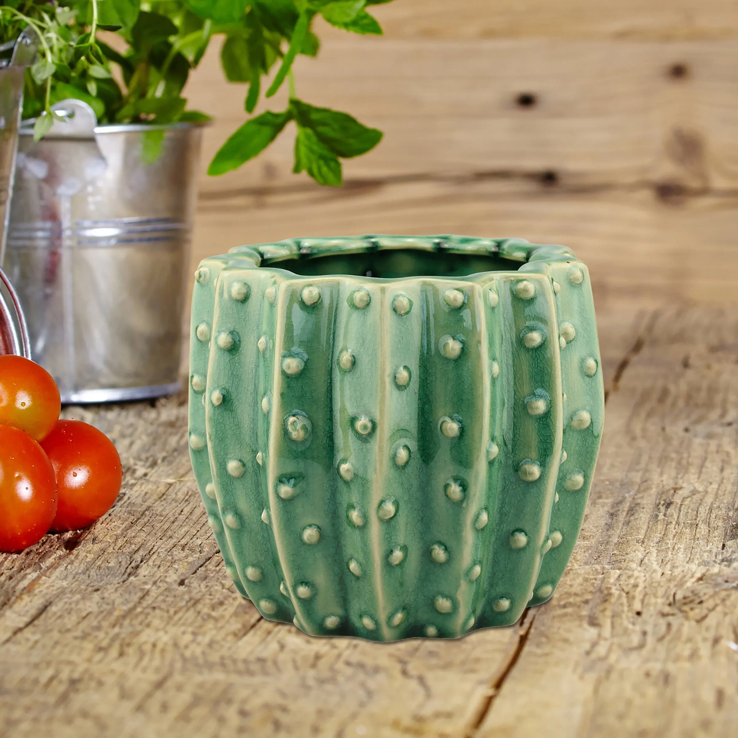 Textured Ceramic Green Cactus Planter