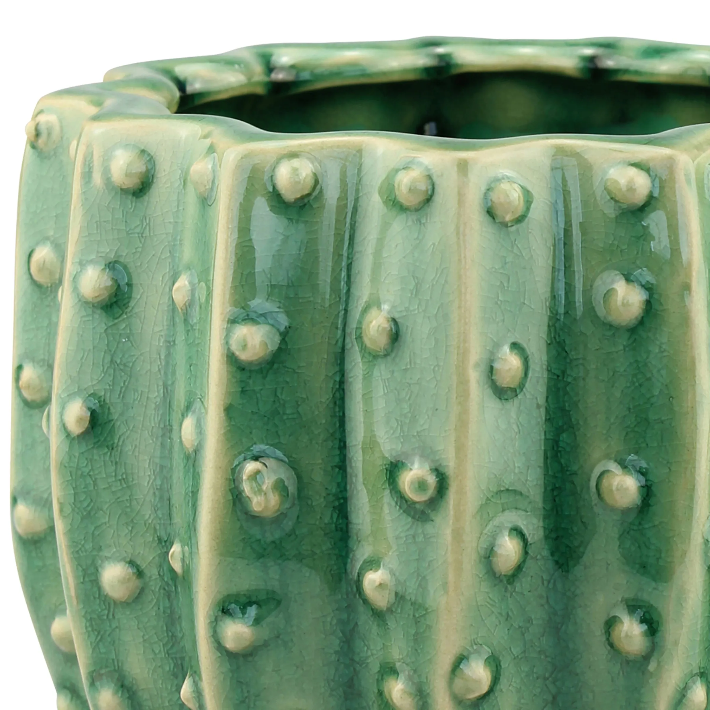 Textured Ceramic Green Cactus Planter