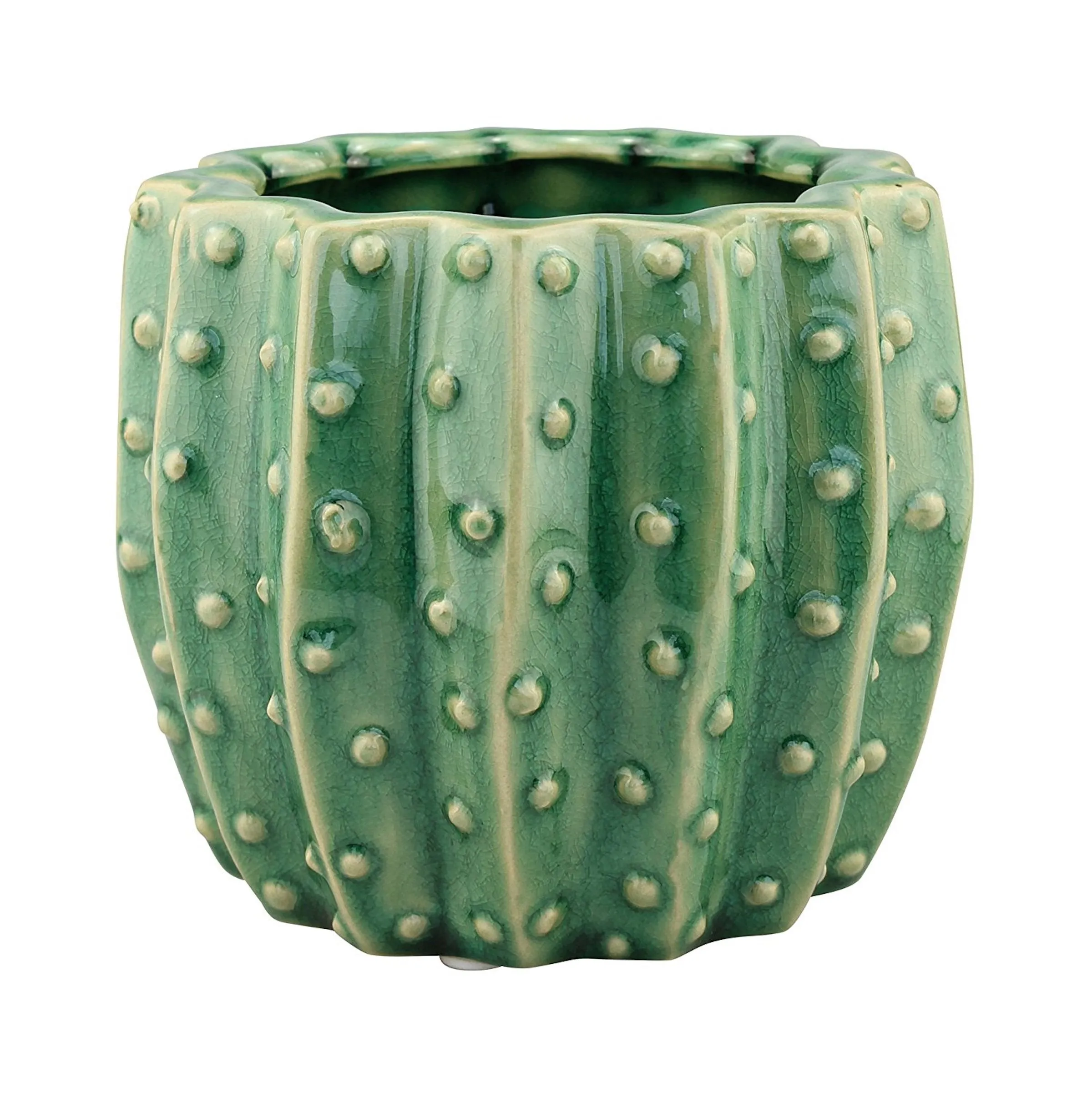 Textured Ceramic Green Cactus Planter