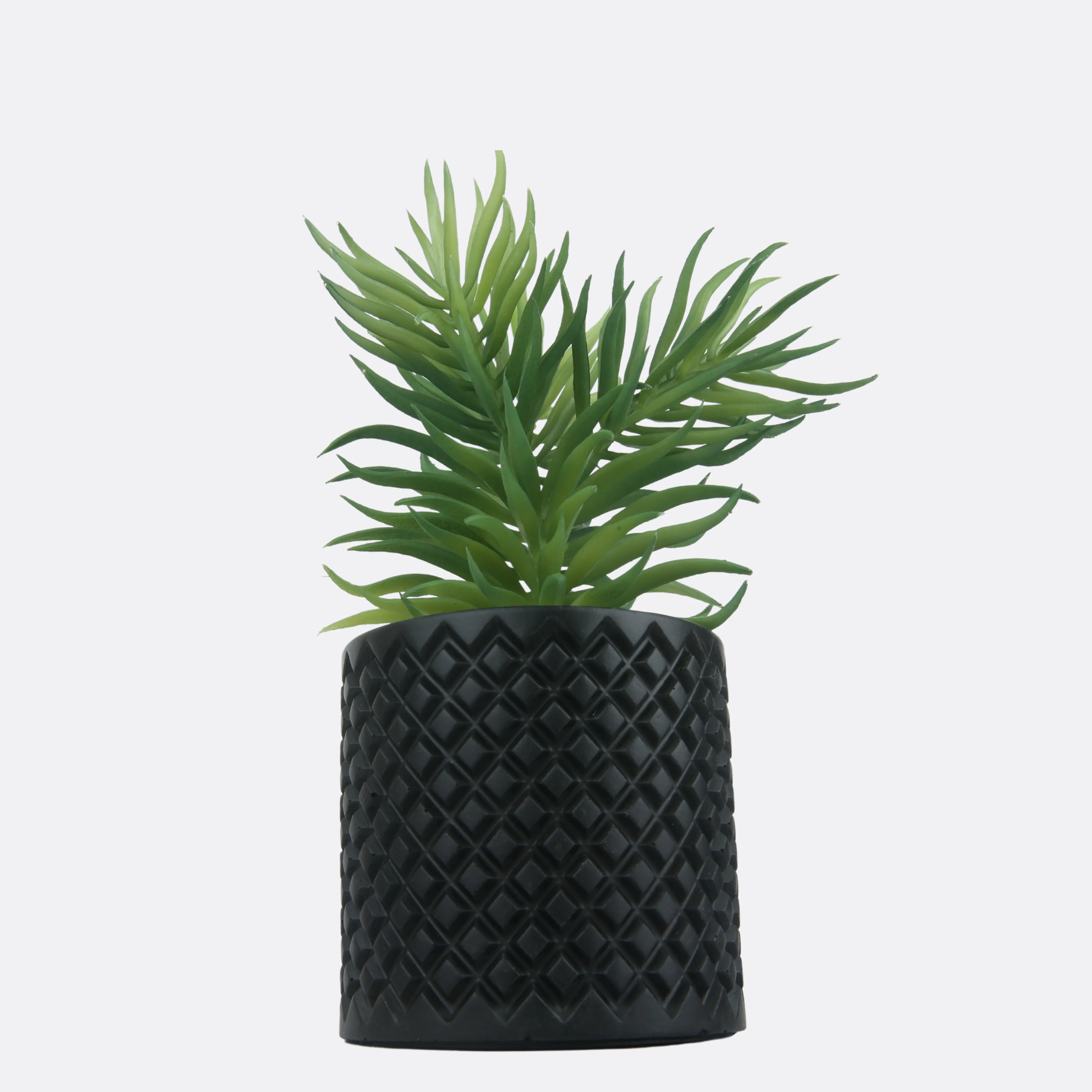 Tinge Planter With Sable Pot
