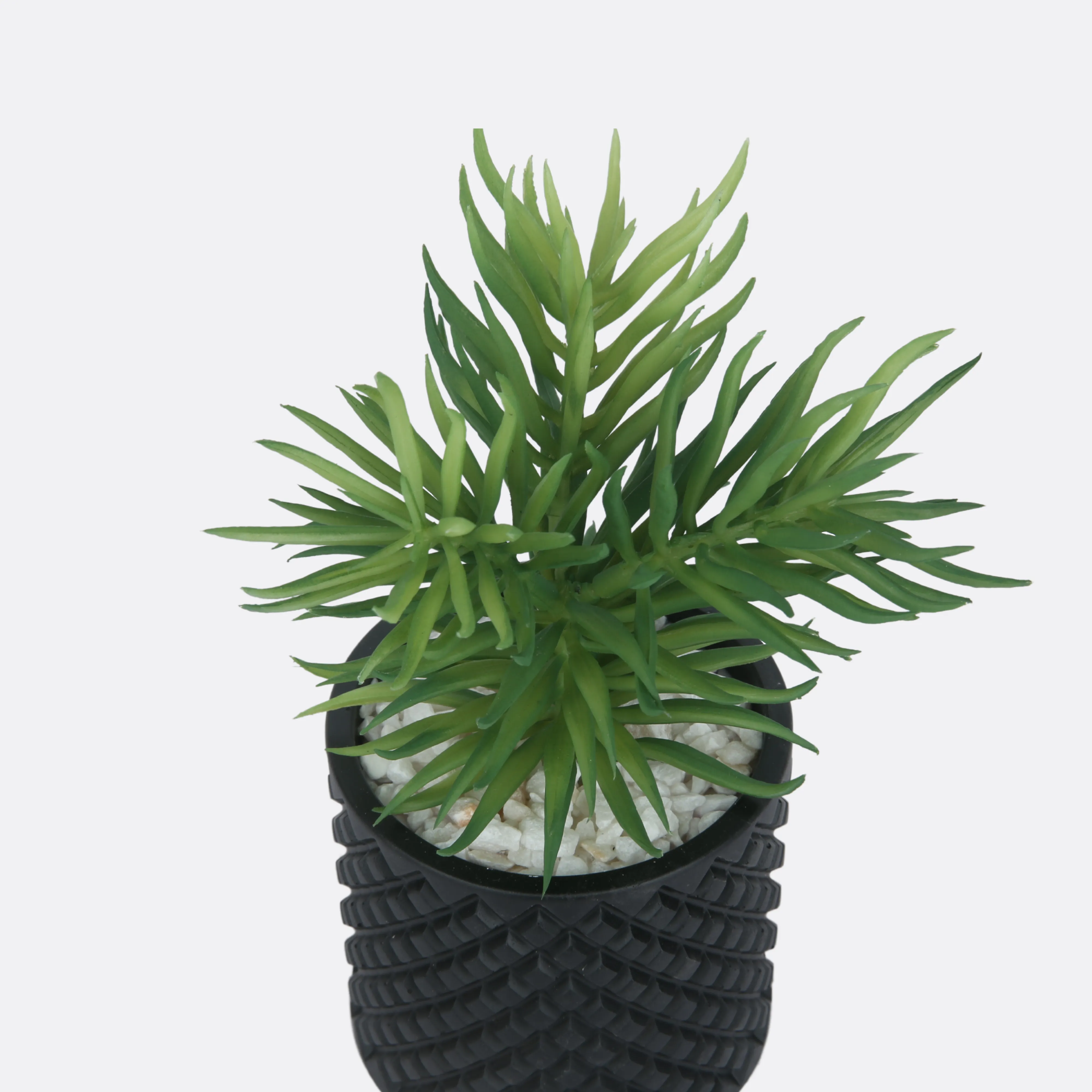 Tinge Planter With Sable Pot