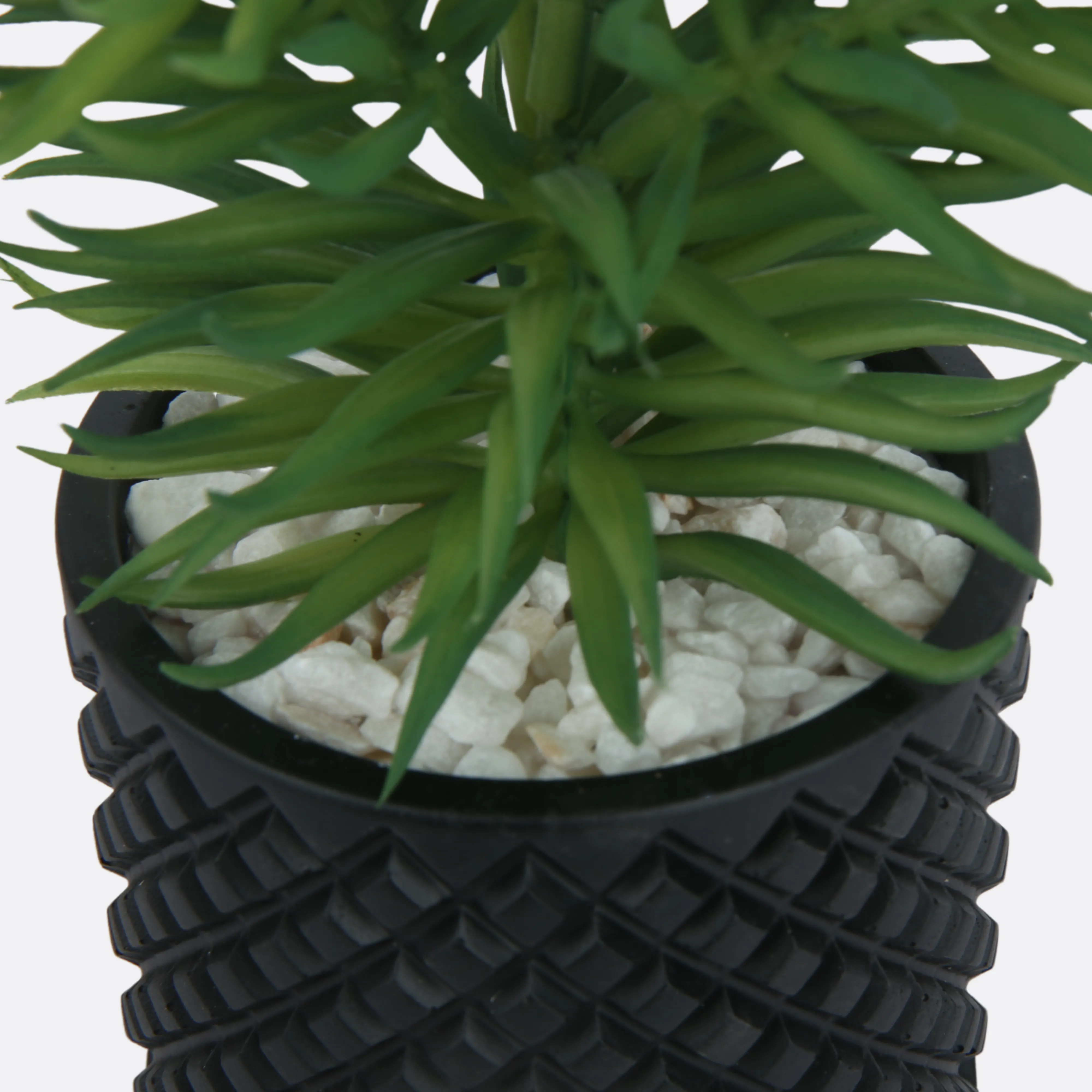 Tinge Planter With Sable Pot