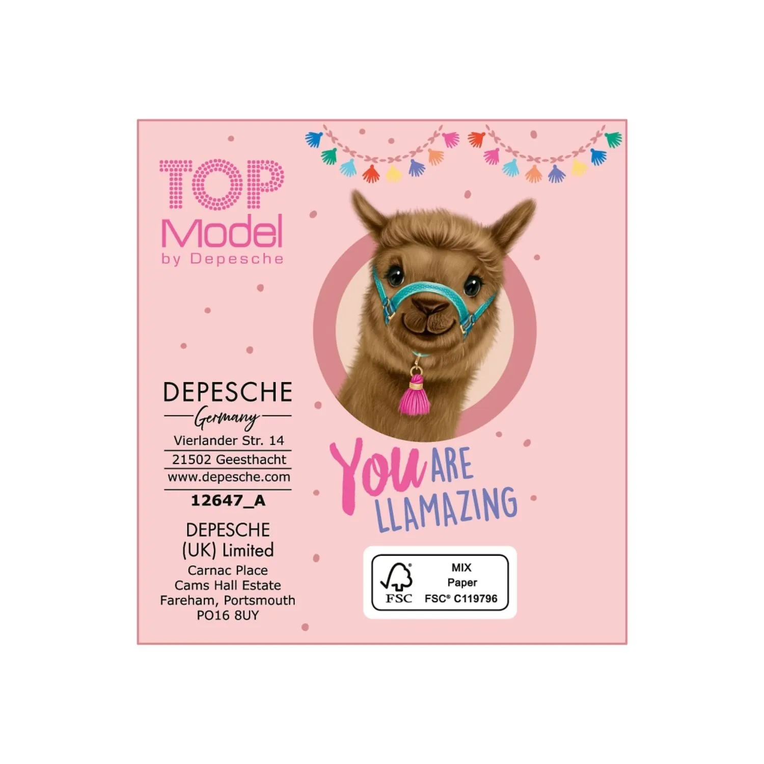 TOPModel Mini Notebook With Ballpen COSY