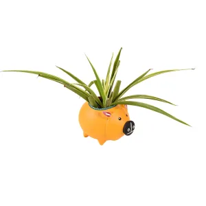 Yellow Pig Terracotta Planter (5 x 6 in)